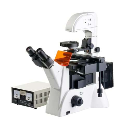 GX Microscopes XDY-2 LED Inverted Fluorescence Microscope for cell culture research