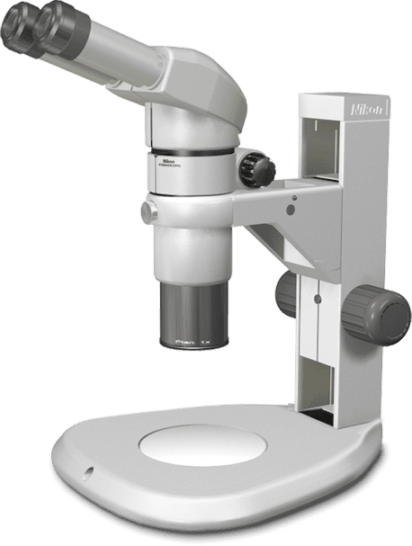 stereo microscope
