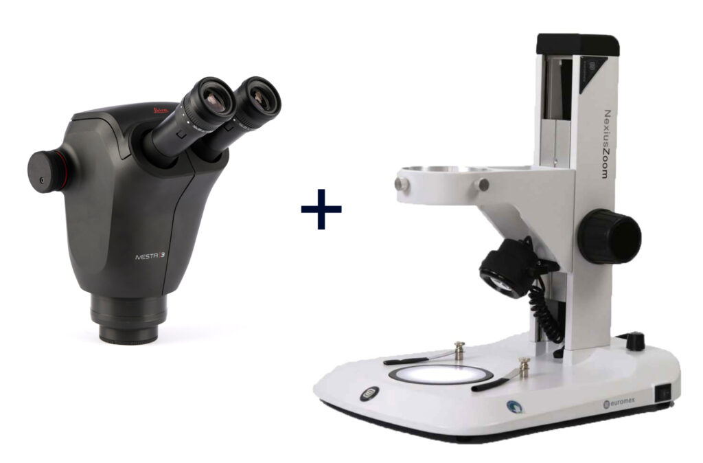 Leica Ivesta 3 stereo microscope
