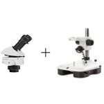 Leica M50 Stereomicroscope Binocular on Mirror Base Stand