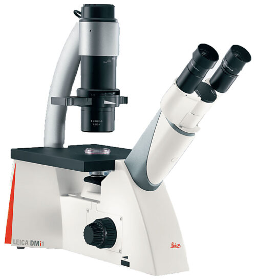 Leica DMi1 inverted biological microscope